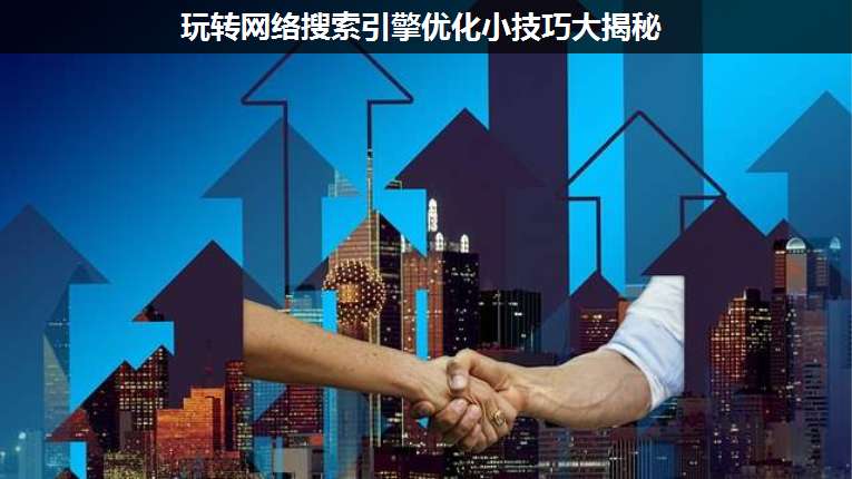 玩轉(zhuǎn)網(wǎng)絡搜索引擎優(yōu)化小技巧大揭秘
