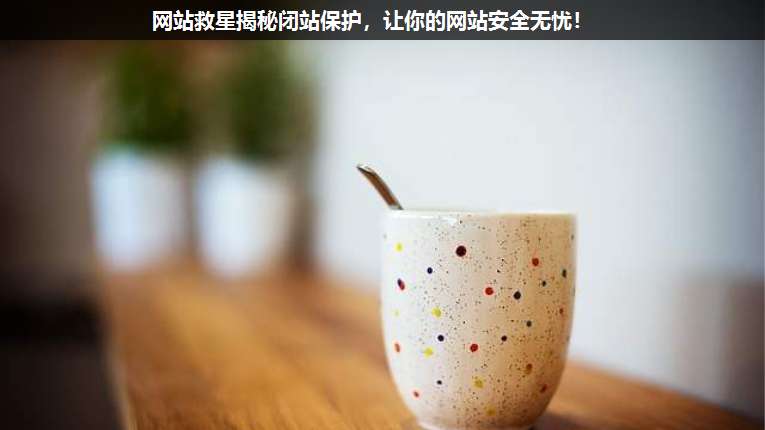 網(wǎng)站救星揭秘閉站保護,讓你的網(wǎng)站安全無憂!