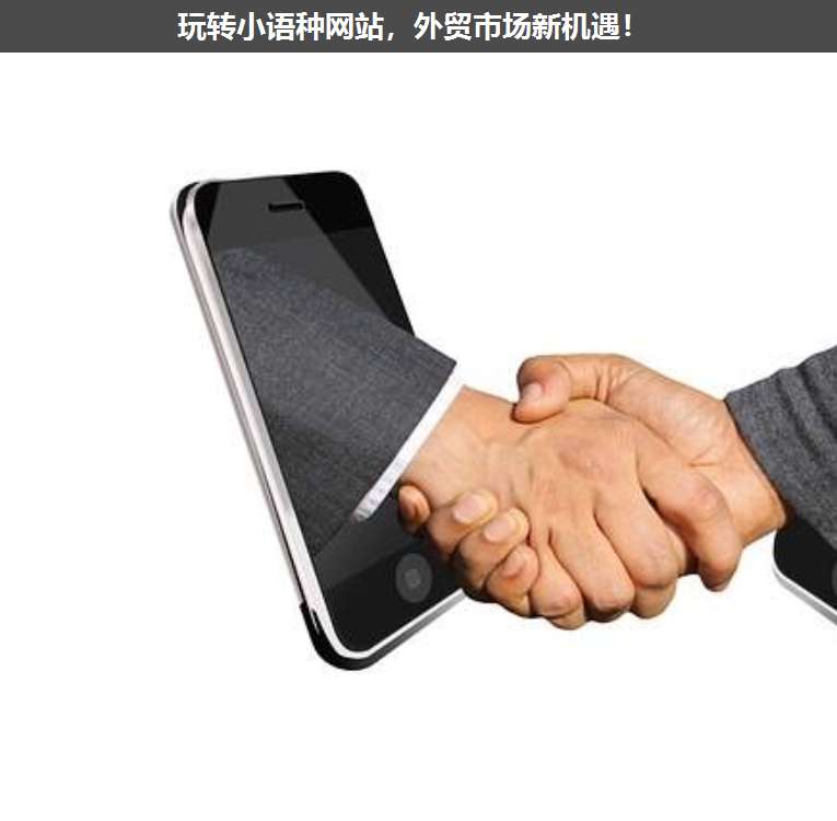 玩轉(zhuǎn)小語種網(wǎng)站,外貿(mào)市場新機(jī)遇!