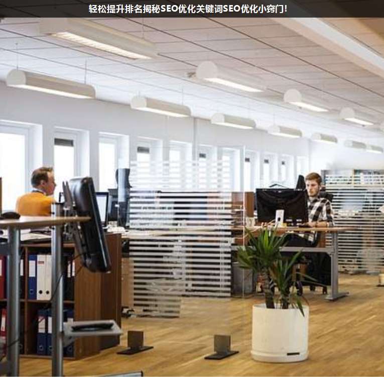 輕松提升排名揭秘SEO優(yōu)化關(guān)鍵詞SEO優(yōu)化小竅門!