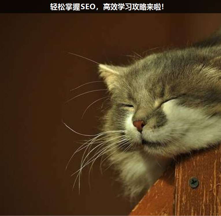 輕松掌握SEO,高效學習攻略來啦!