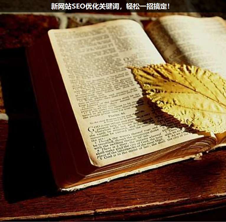新網(wǎng)站SEO優(yōu)化關鍵詞,輕松一招搞定!
