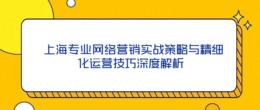  上海專業(yè)網(wǎng)絡(luò)營銷實戰(zhàn)策略與精細(xì)化運營技巧深度解析