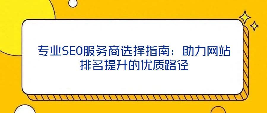 專(zhuān)業(yè)SEO服務(wù)商選擇指南：助力網(wǎng)站排名提升的優(yōu)質(zhì)路徑