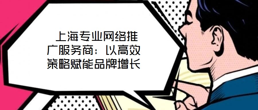  上海專業(yè)網(wǎng)絡(luò)推廣服務(wù)商：以高效策略賦能品牌增長
