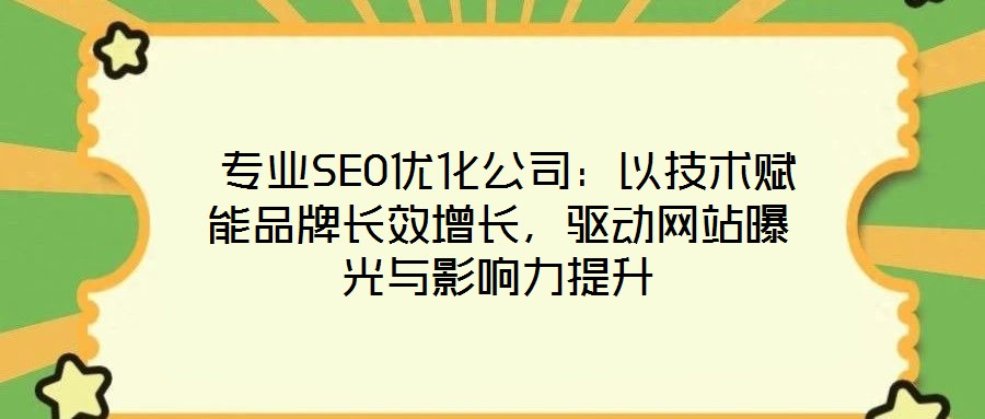 專業(yè)SEO優(yōu)化公司：以技術(shù)賦能品牌長效增長，驅(qū)動網(wǎng)站曝光與影響力提升