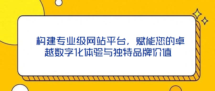  構(gòu)建專業(yè)級(jí)網(wǎng)站平臺(tái)，賦能您的卓越數(shù)字化體驗(yàn)與獨(dú)特品牌價(jià)值