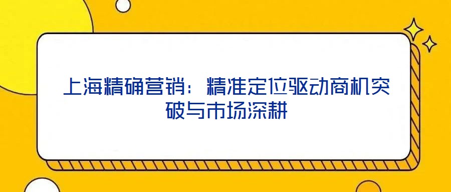 上海精確營銷：精準(zhǔn)定位驅(qū)動商機(jī)突破與市場深耕