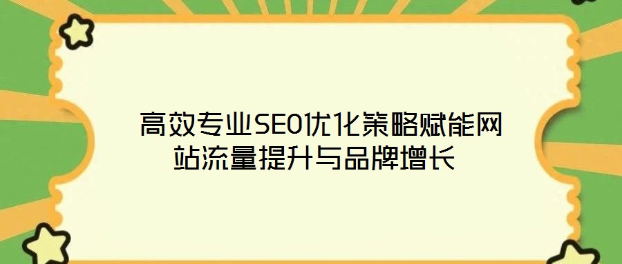  高效專業(yè)SEO優(yōu)化策略賦能網(wǎng)站流量提升與品牌增長(zhǎng)